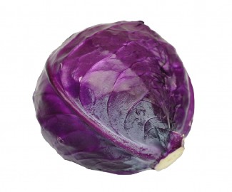 Cabbage