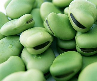 Broad beans