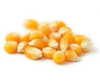 Sweet corn kernel