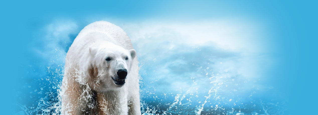 Beste Qualität, vom Anbau bis zur Ernte, effiziente Produktion und Lagerung, flexibler Service und Vertrieb.